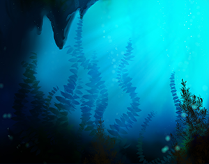 Background: Kelp Forest