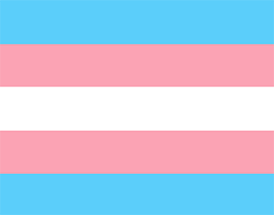 Background: Trans Pride